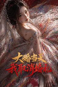 大婚当天,我取消婚礼
